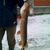 Рыбалка